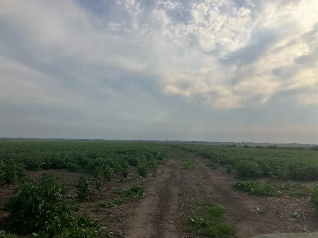 Foto de Campo mixto en Crucecita Séptima, imagen 3
