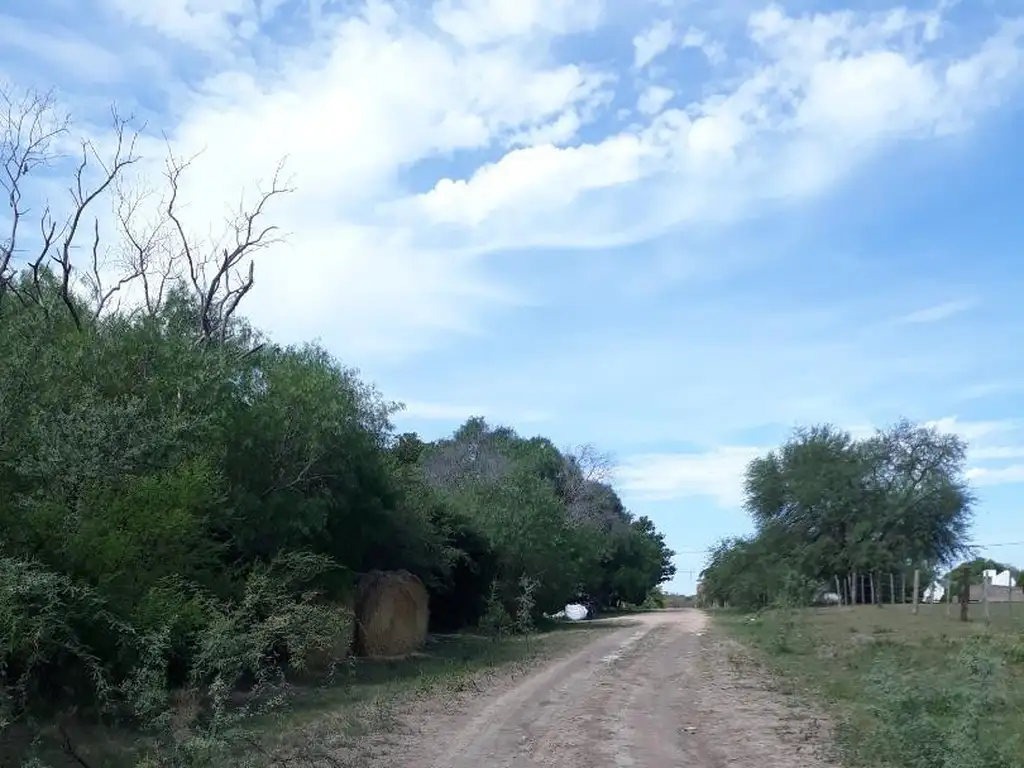 Foto de ULTIMOS 4 LOTES A 300m DE LA ENSENADA, imagen 4