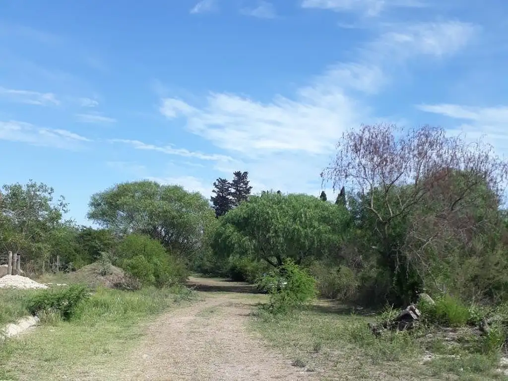 Foto de ULTIMOS 4 LOTES A 300m DE LA ENSENADA, imagen 5