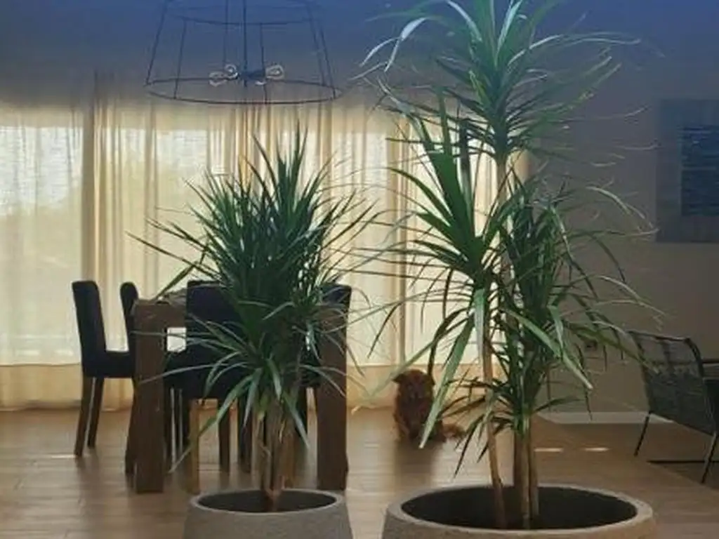 Foto de CASA EN VENTA Bº EL VERGEL, imagen 2