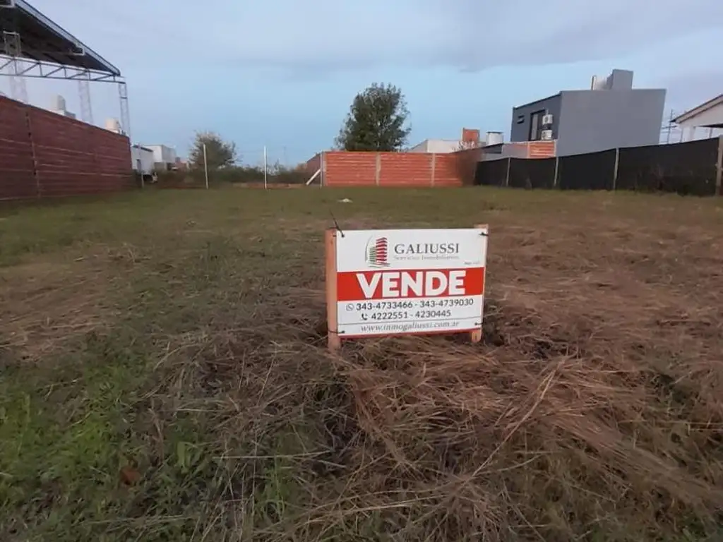 Foto de VENDE Terreno San Benito, imagen 4