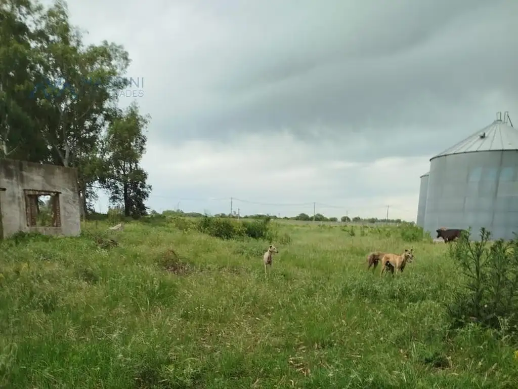 Foto de Campo 2 Has. con Galpón, Silos y Oficina en Ruta 32 y Bv. Acevedo, imagen 5