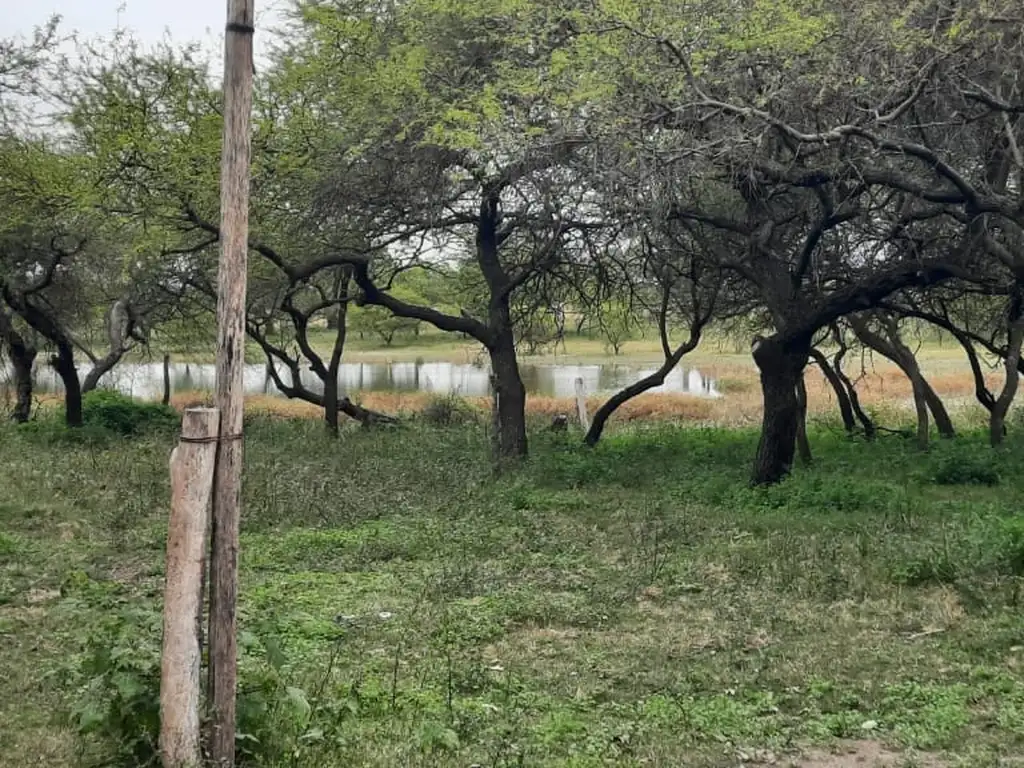 Foto de ALQUILER PERMANENTE PREDIO DE 6 HECTAREAS, imagen 3