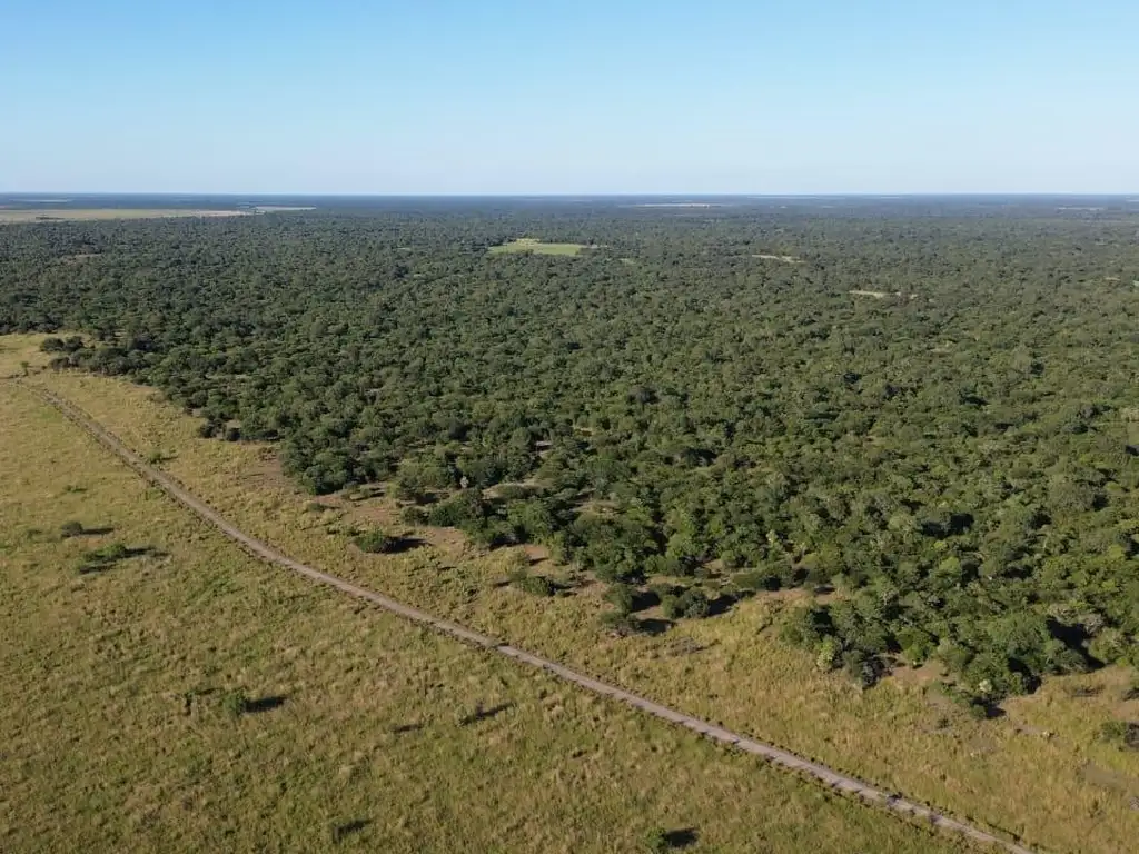 Foto de CAMPO GANADERO 500HA - NORTE DE SANTA FE, imagen 2