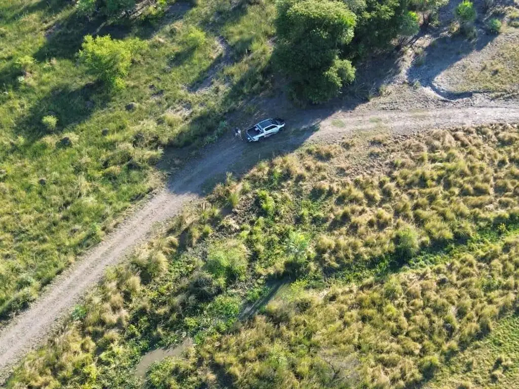 Foto de CAMPO GANADERO 500HA - NORTE DE SANTA FE, imagen 1