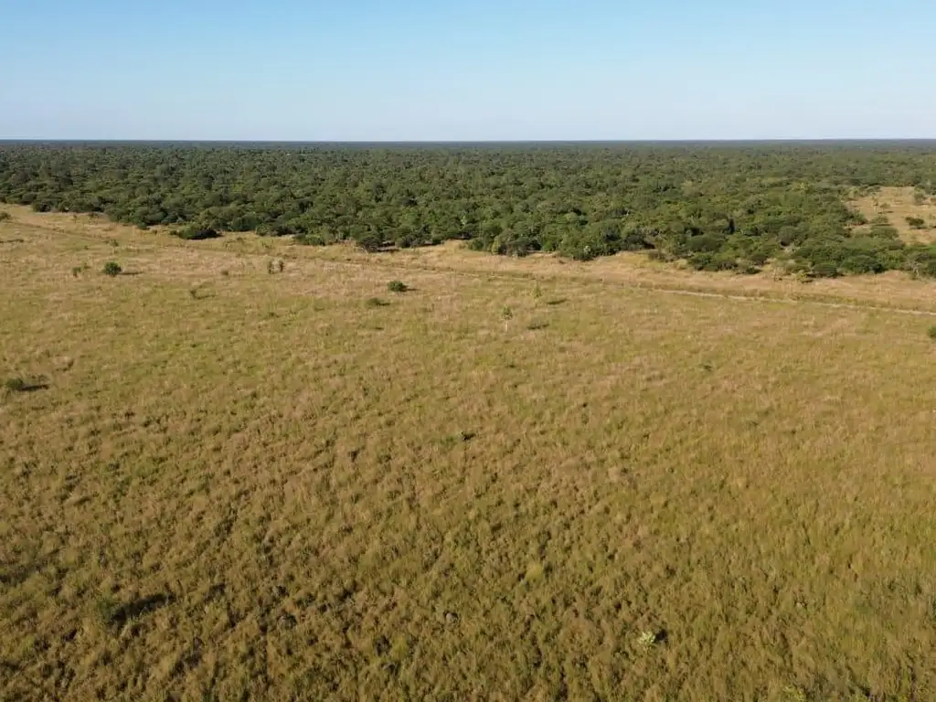Foto de CAMPO GANADERO 500HA - NORTE DE SANTA FE, imagen 3