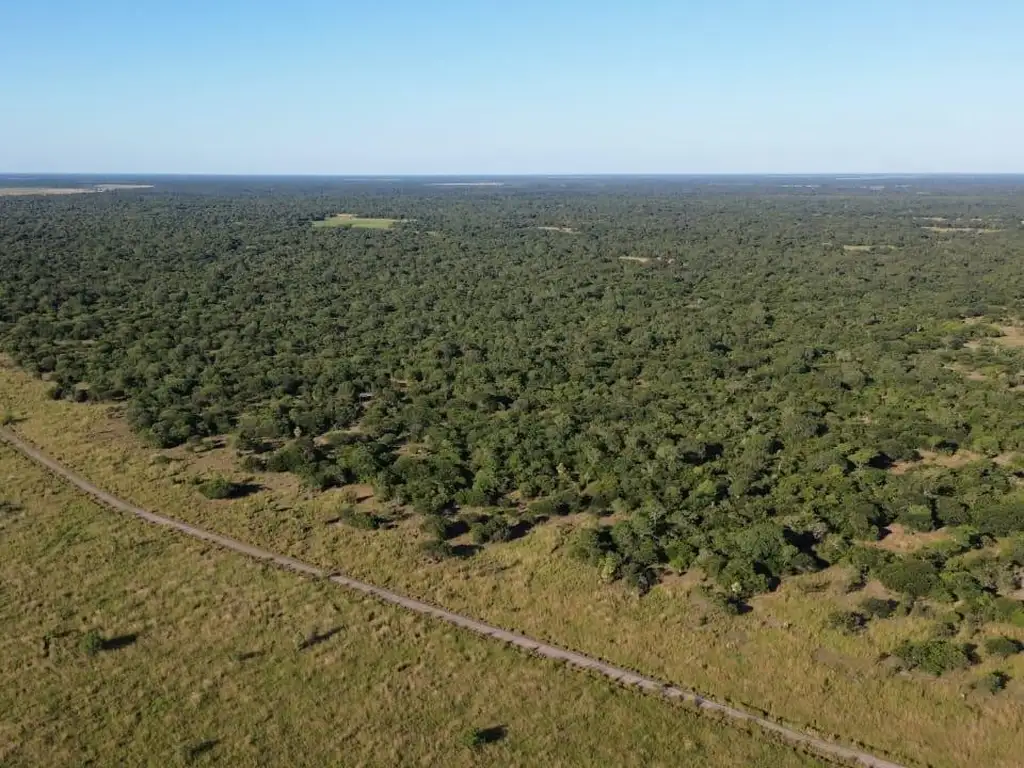 Foto de CAMPO GANADERO 500HA - NORTE DE SANTA FE, imagen 4