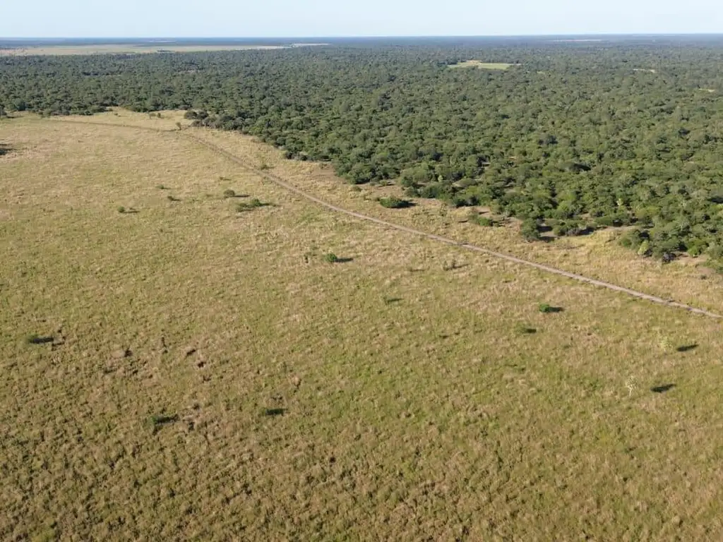 Foto de CAMPO GANADERO 500HA - NORTE DE SANTA FE, imagen 5