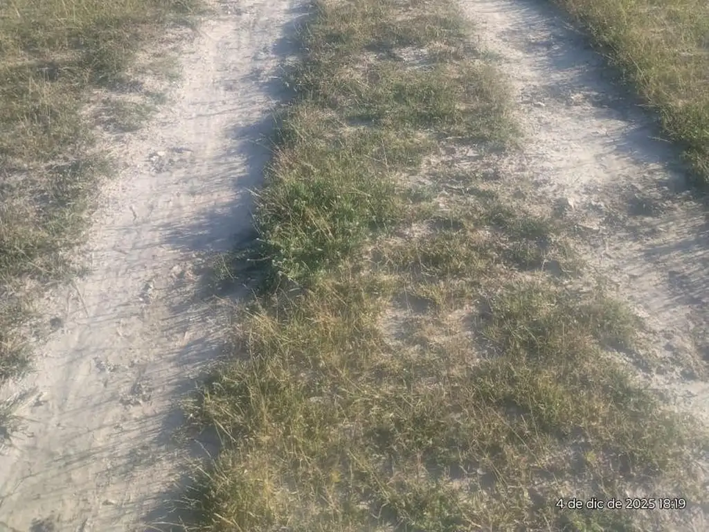 Foto de CAMPO GANADERO - VILLA GUILLERMINA, imagen 1