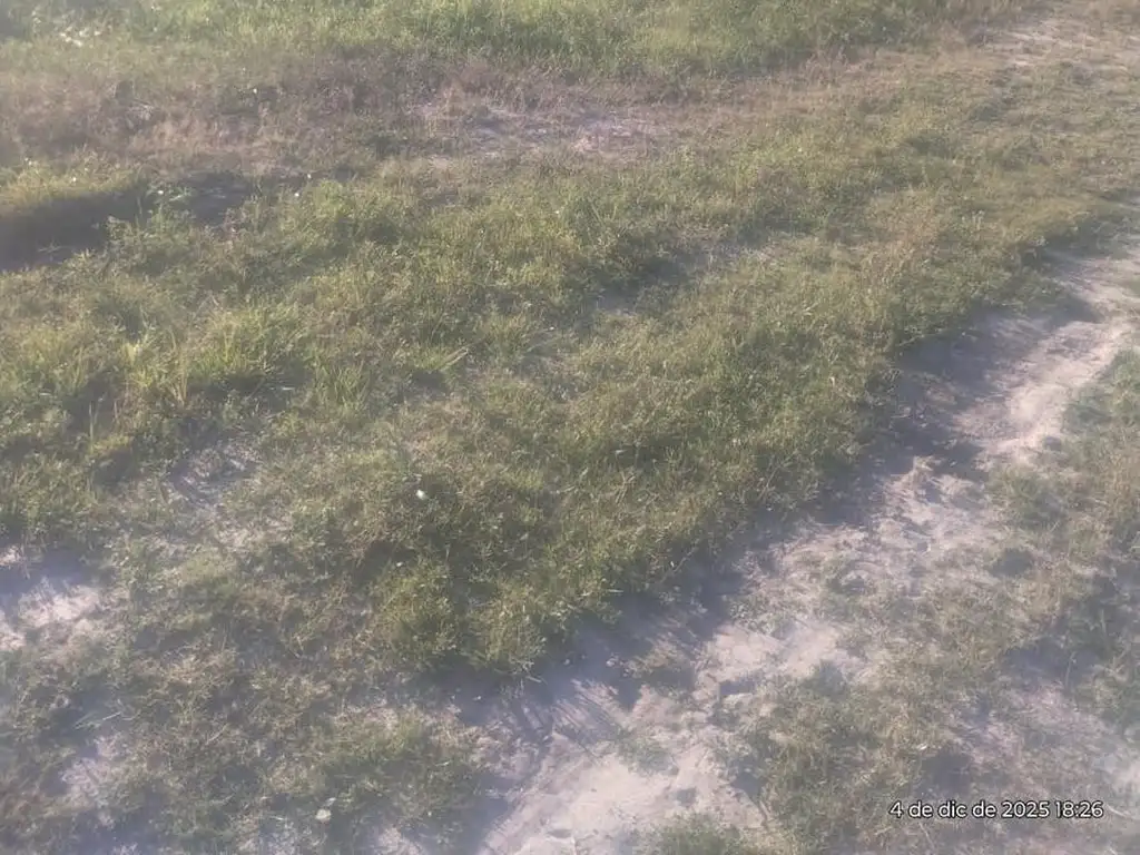 Foto de CAMPO GANADERO - VILLA GUILLERMINA, imagen 2