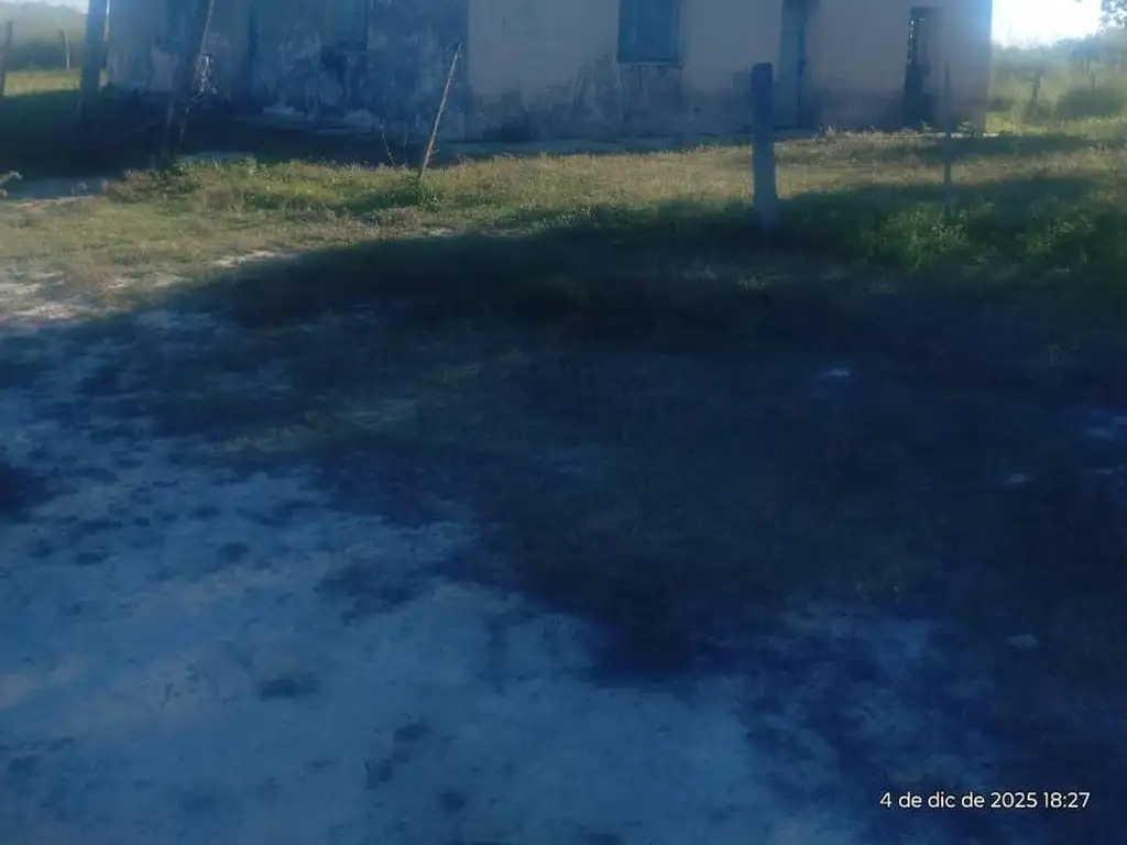 Foto de CAMPO GANADERO - VILLA GUILLERMINA, imagen 3