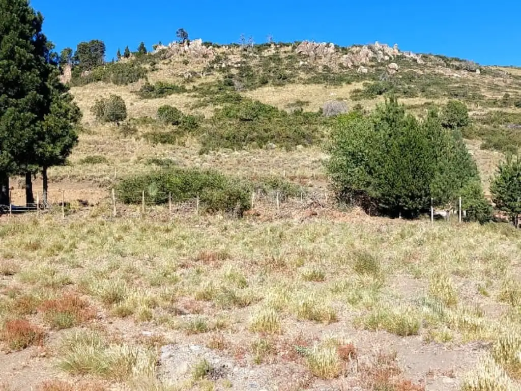 Foto de IMPORTANTE LOTE EN LOTEO LAGO HUECHULAFQUEN – JUNÍN DE LOS ANDES, imagen 3