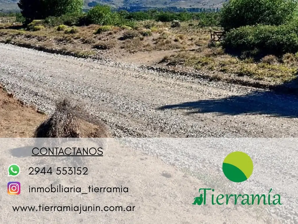 Foto de IMPORTANTE LOTE EN LOTEO LAGO HUECHULAFQUEN – JUNÍN DE LOS ANDES, imagen 5