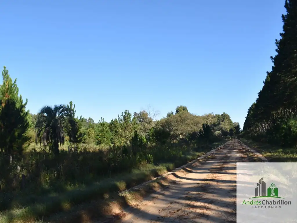 Foto de Campo en venta de 8.5ha ubicado en Puerto Yeruá, imagen 1