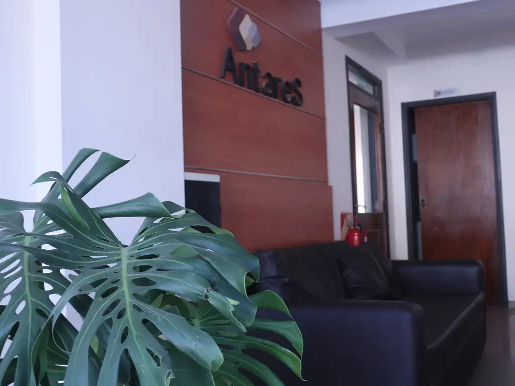 Foto de Departamento en alquiler, imagen 3