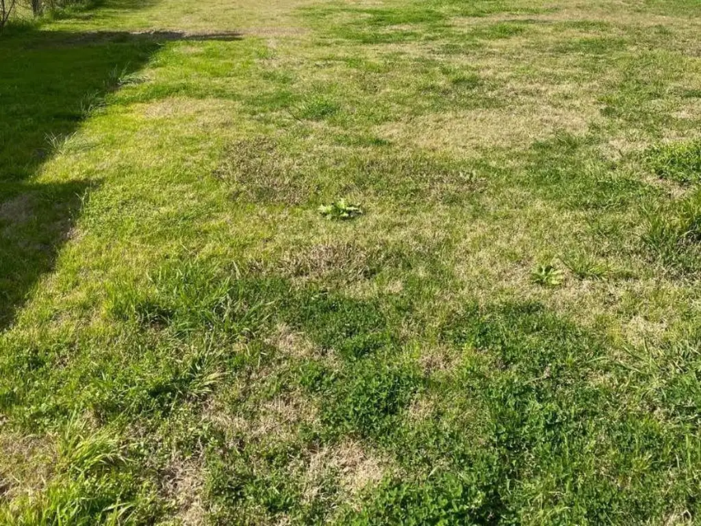 VENTA EN PUERTOS *LOTE INTERNO DE 522M2 -ARAUCARIAS