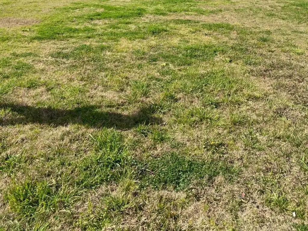 Foto de VENTA EN PUERTOS *LOTE INTERNO DE 522M2 -ARAUCARIAS, imagen 2