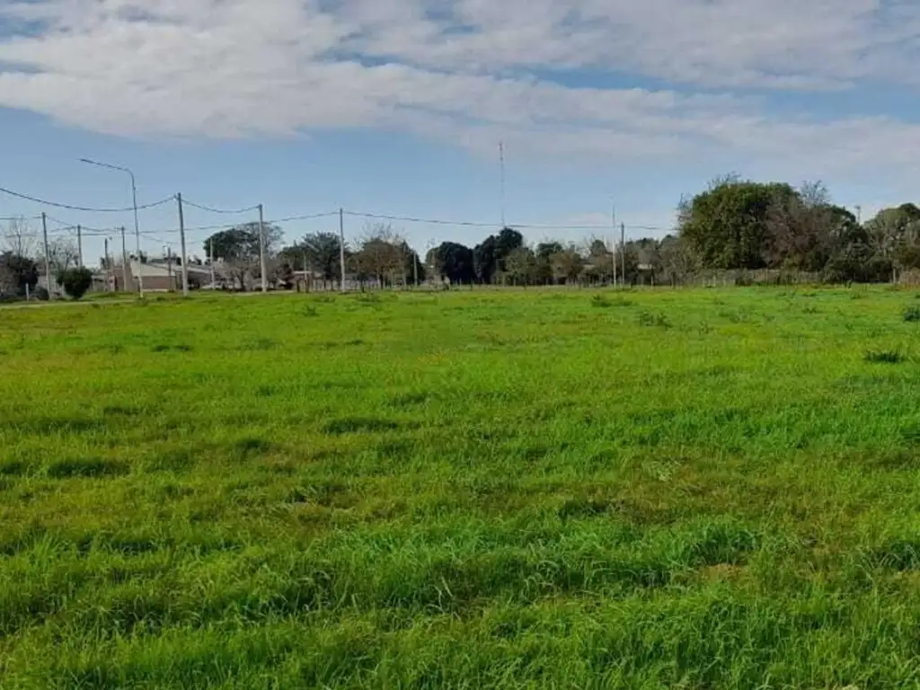 Foto de AMPLIOS TERRENOS EN EL PUEBLO DE SAN AGUSTIN, imagen 3