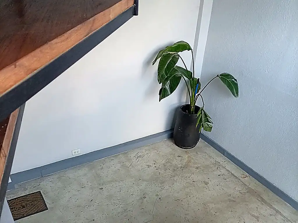 Foto de Caballito Dos ambientes con cochera 80m2, imagen 3