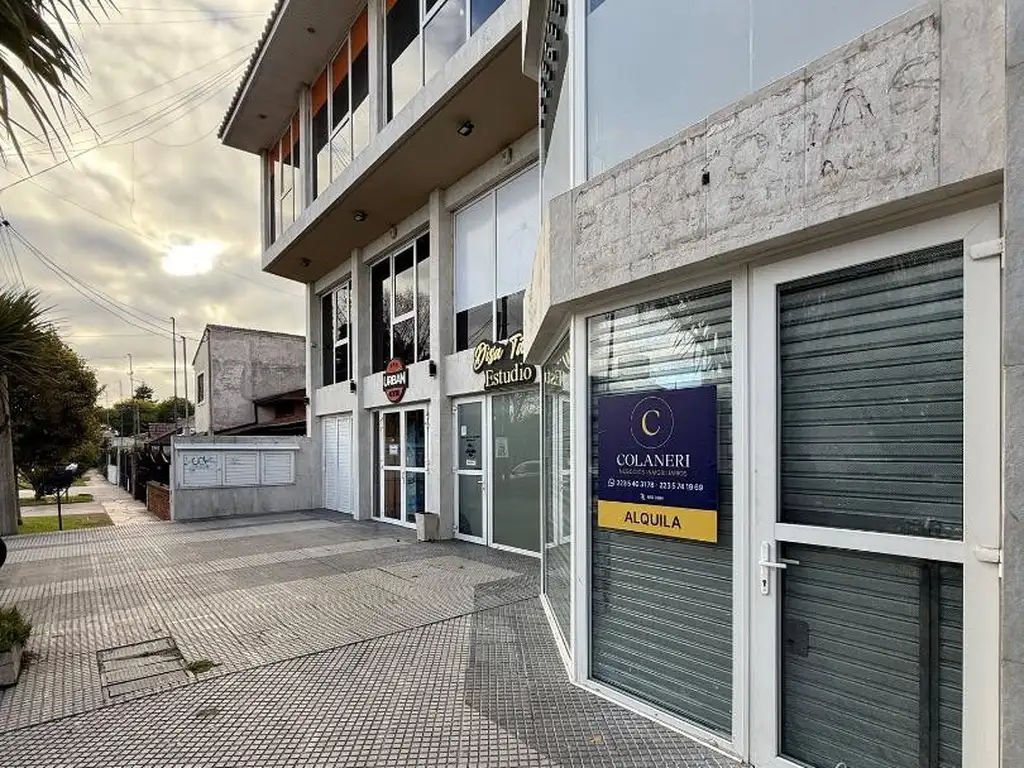 Foto de Local desarrollado en dos niveles, imagen 5