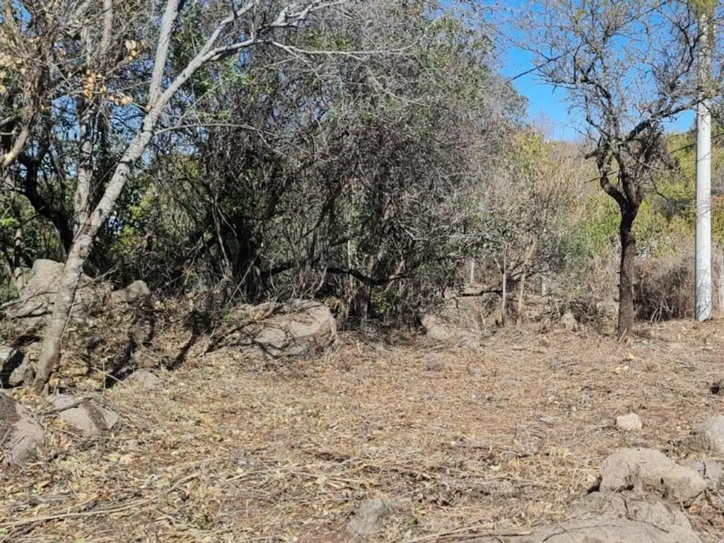 Foto de TERRENO EN VENTA AGUA DE ORO, imagen 2