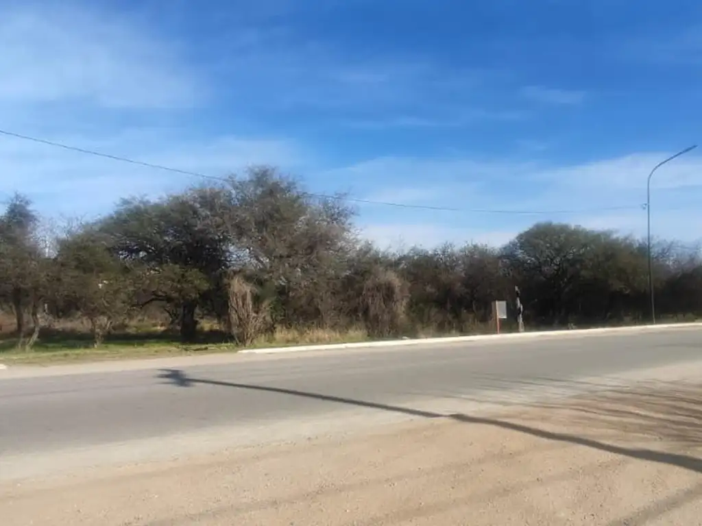 Foto de Terreno en Cortaderas, sobre calle Mundial 78, imagen 3