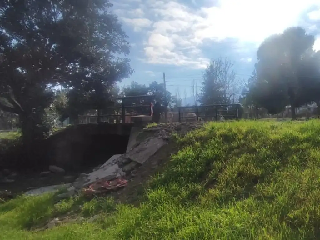 Foto de Terreno en Cortaderas, sobre calle Mundial 78, imagen 4