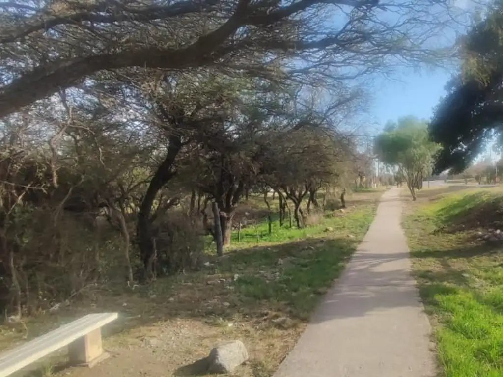 Foto de Terreno en Cortaderas, sobre calle Mundial 78, imagen 5