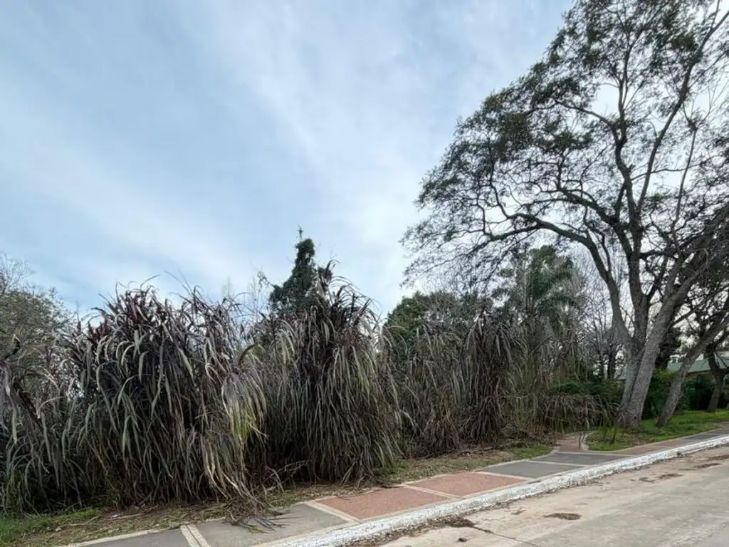 Foto de Terreno - Venta - Argentina, Concordia, imagen 2
