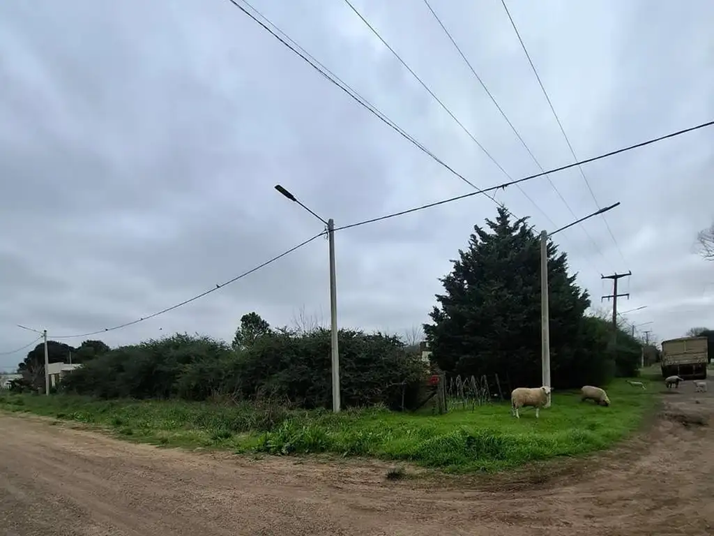 Foto de Venta Lote 640 m² en M. Ocampo, Pergamino, Buenos Aires, imagen 4