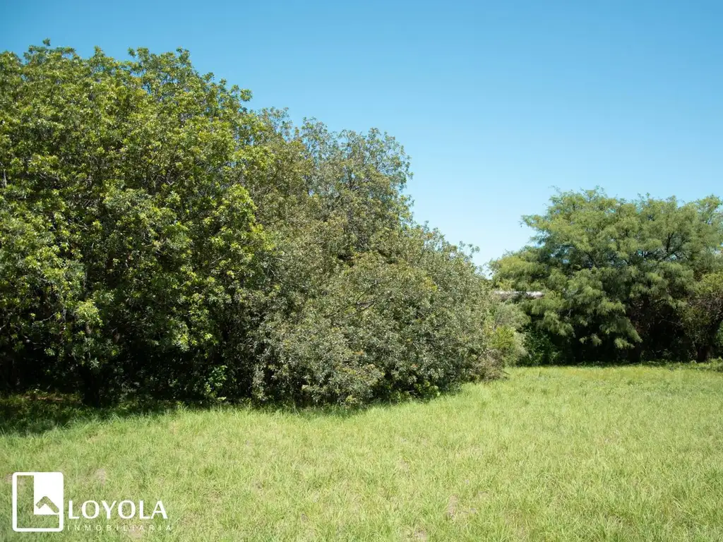 Foto de Terreno Céntrico en venta Merlo San Luis con Gas Natural, imagen 4