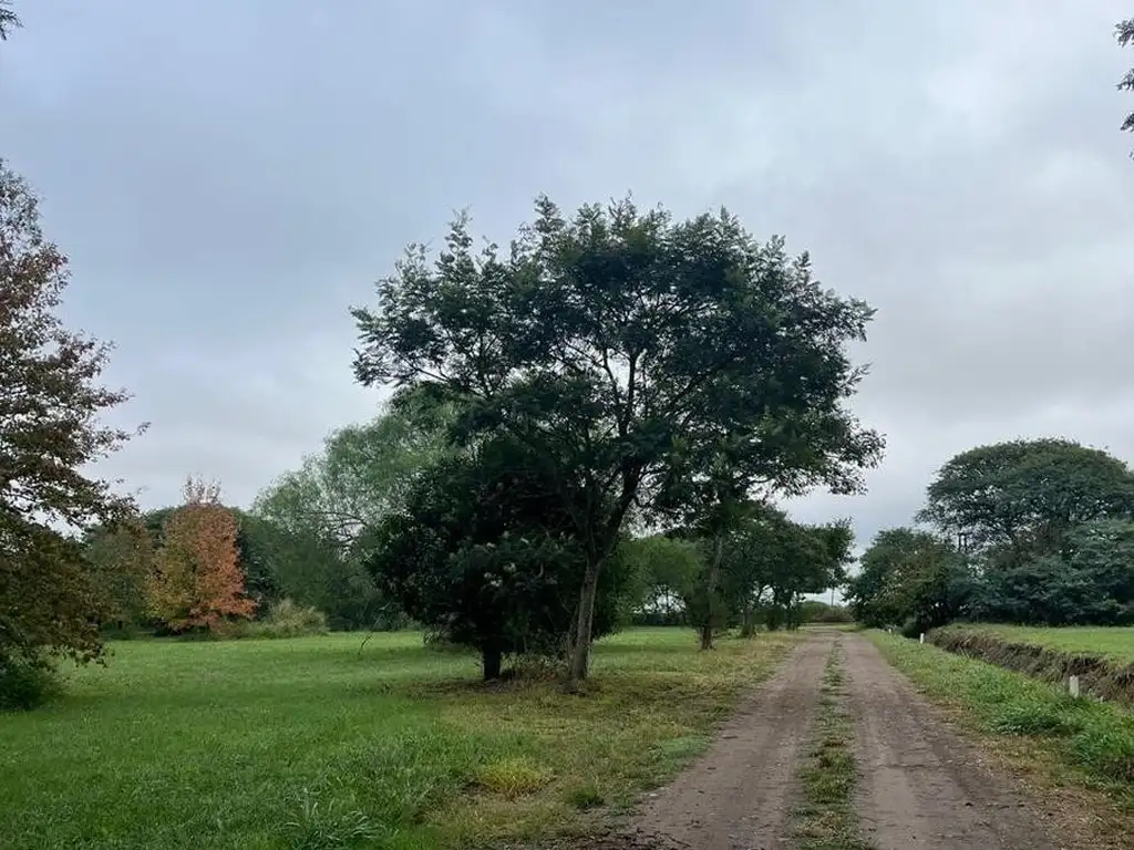 Foto de Imperdible terreno en la localidad de Progreso, imagen 2