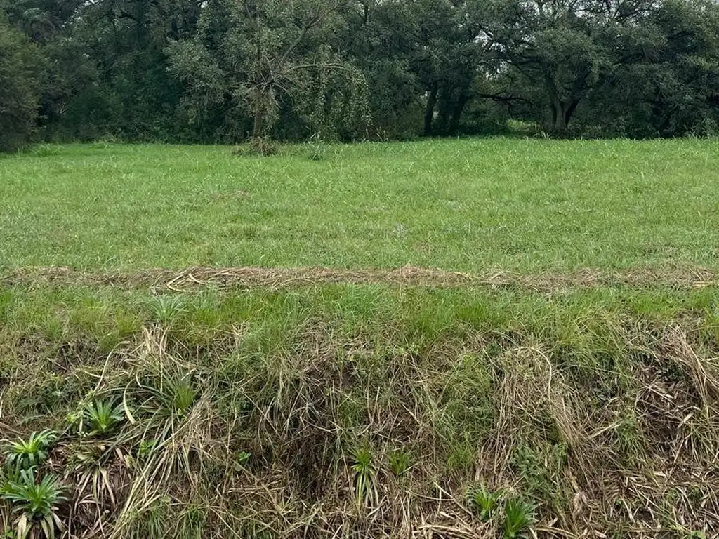 Foto de Imperdible terreno en la localidad de Progreso, imagen 4