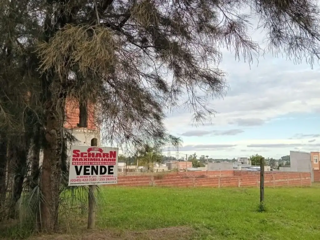 Foto de Terreno - Venta - Argentina, Concordia, imagen 2