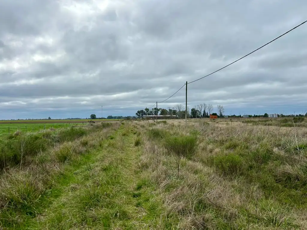 Foto de VENTA - LOTE EN RUTA N° 2 - KM 140, imagen 1