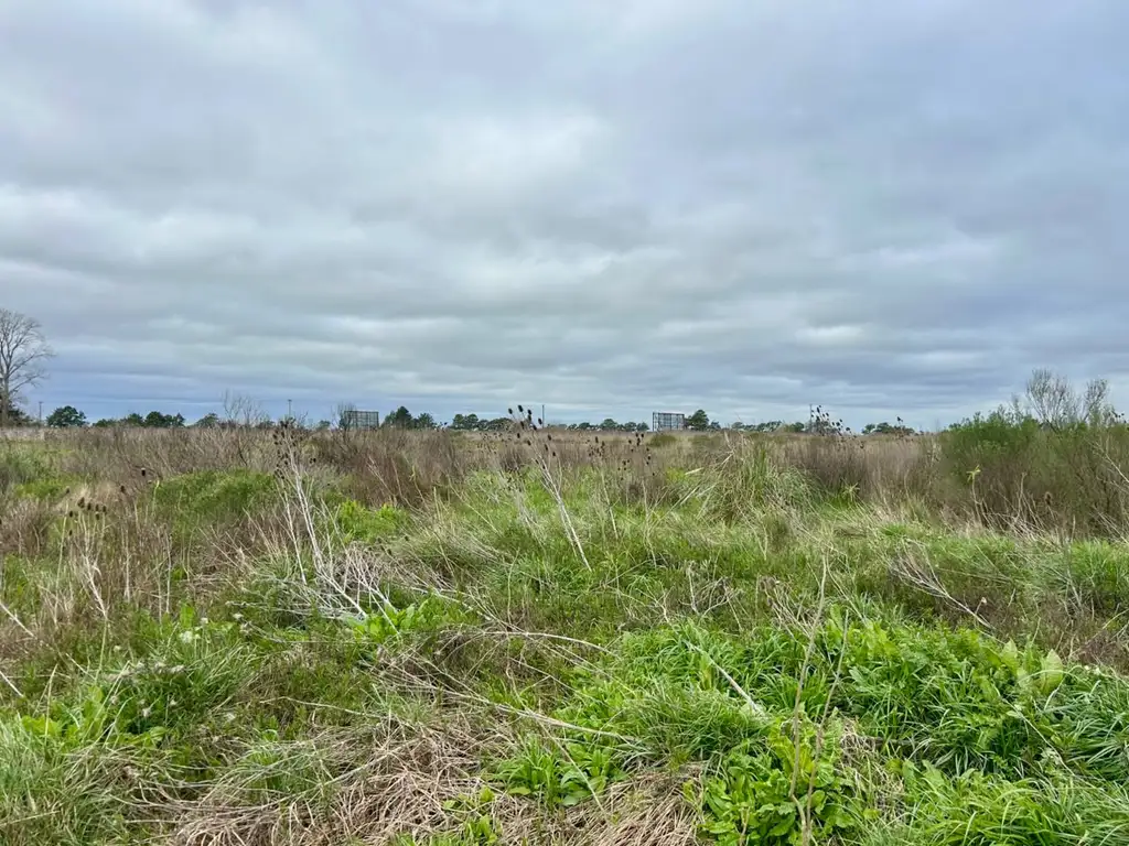 Foto de VENTA - LOTE EN RUTA N° 2 - KM 140, imagen 4