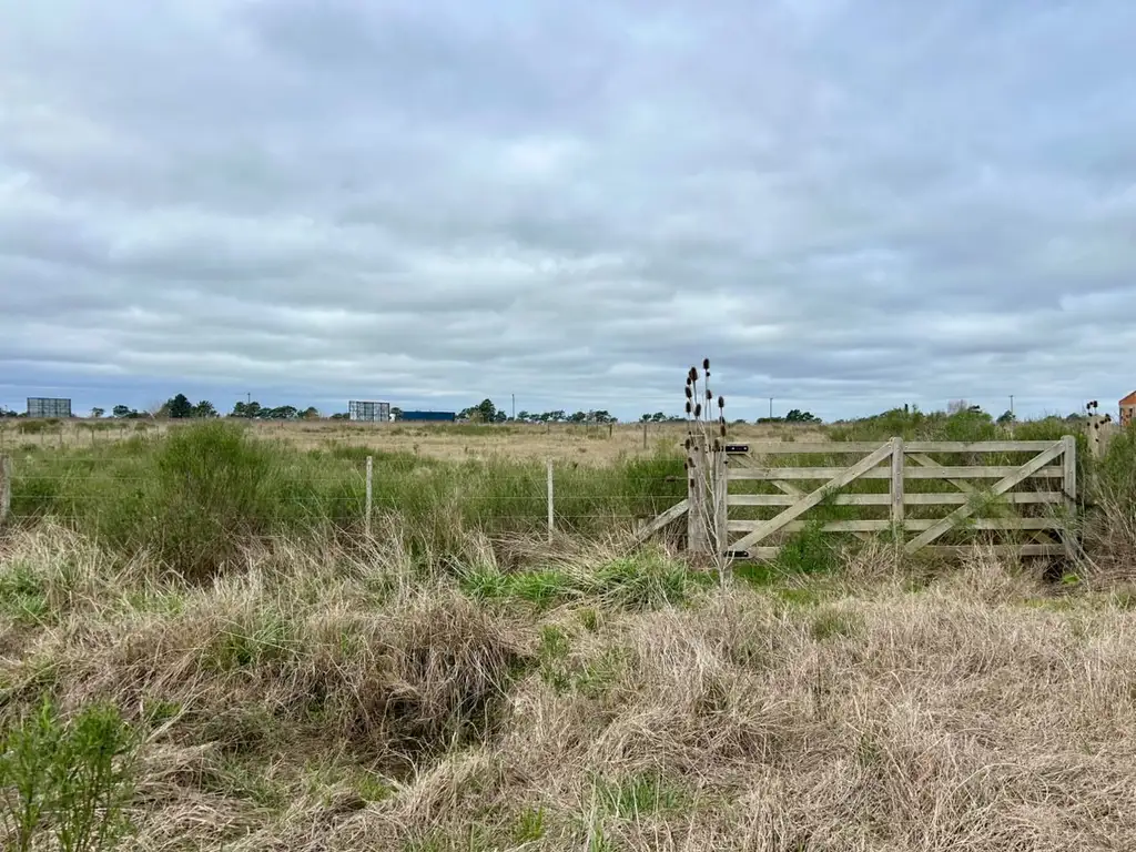 Foto de VENTA - LOTE EN RUTA N° 2 - KM 140, imagen 2