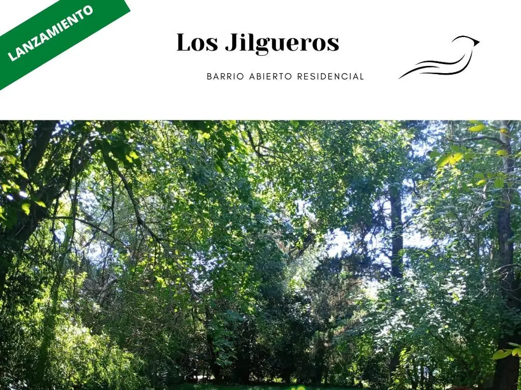 Foto de LOTE DE 425 M2 LISTO PARA ESCRITURAR -EL CAZADOR, imagen 2