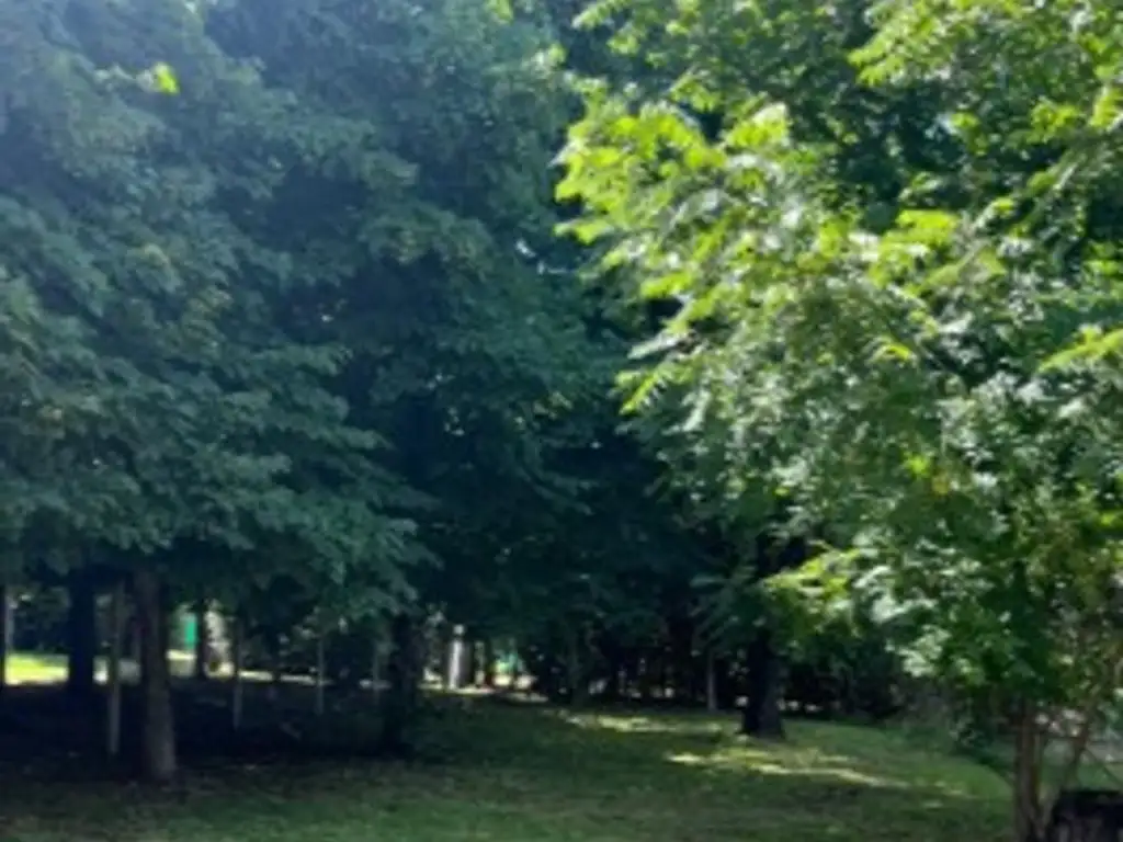 Foto de LOTE DE 425 M2 LISTO PARA ESCRITURAR -EL CAZADOR, imagen 3