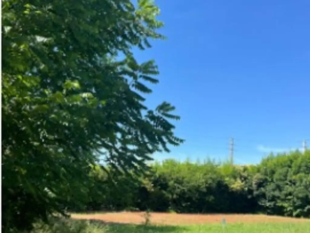 Foto de LOTE DE 425 M2 LISTO PARA ESCRITURAR -EL CAZADOR, imagen 4