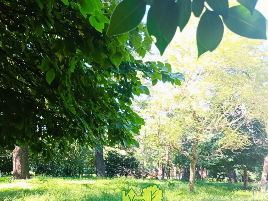 Foto de LOTE DE 425 M2 LISTO PARA ESCRITURAR -EL CAZADOR, imagen 5