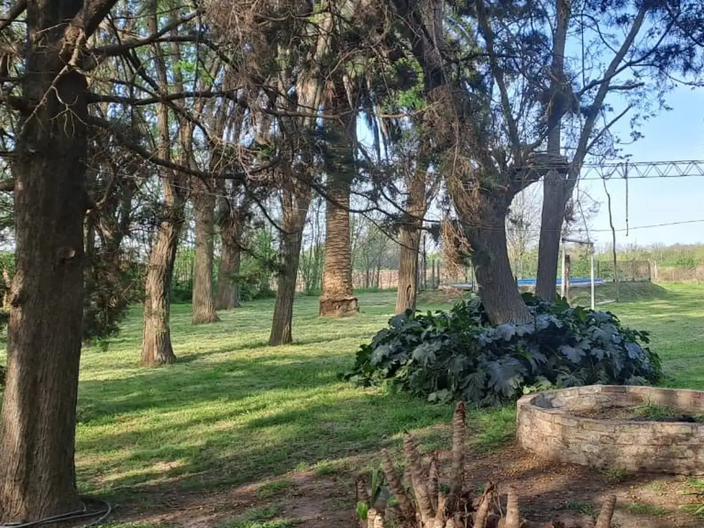 Foto de Campo - Venta - Argentina, Lobos, imagen 4
