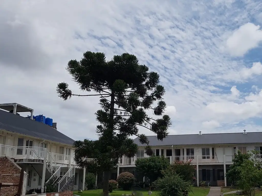 Foto de Departamento - Alquiler - Argentina, San Miguel - Irigoin 296, imagen 1