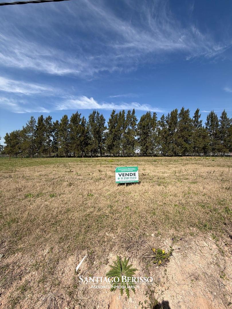 Foto de TERRENO EN LOS CARDALES, imagen 1