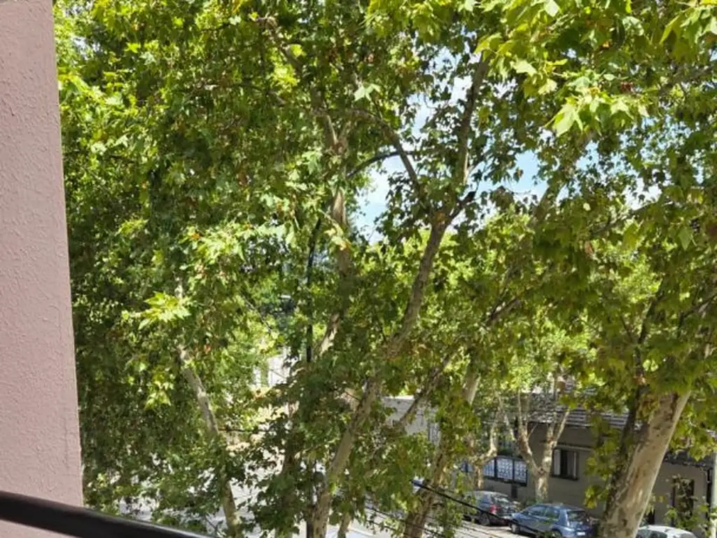 Foto de ALQUILER DOS AMB CON BALCON MUÑIZ, imagen 2