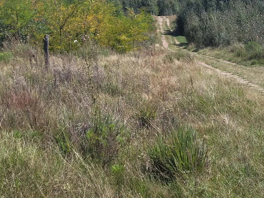 Foto de LOTE ALAMBRADO DE 450M2 EN YACANTO CALAMUCHITA, imagen 1