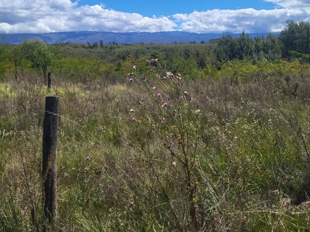 Foto de LOTE ALAMBRADO DE 450M2 EN YACANTO CALAMUCHITA, imagen 3