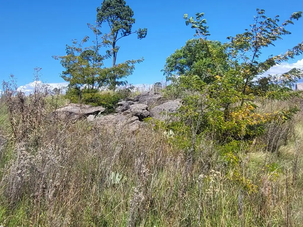 Foto de LOTE ALAMBRADO DE 450M2 EN YACANTO CALAMUCHITA, imagen 2