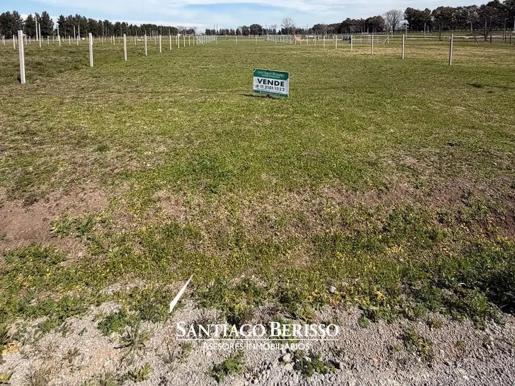 Foto de TERRENO EN LAS PRADERAS LOS CARDALES, imagen 4