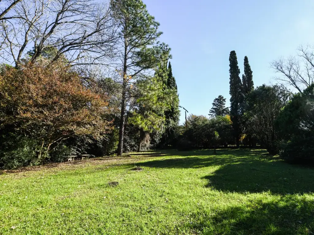 Foto de Increible propiedad con parque añoso, imagen 3